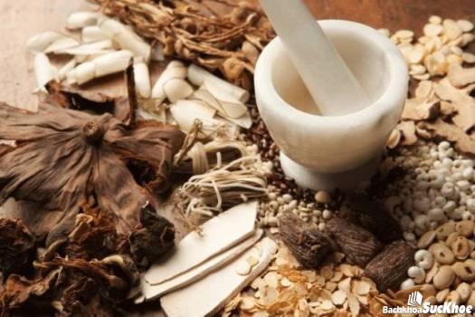Bệnh viêm niệu đạo: Khái niệm, nguyên nhân, biểu hiện, điều trị, cách phòng ngừa 26 Các loại thuốc Đông Y điều trị viêm niệu đạo