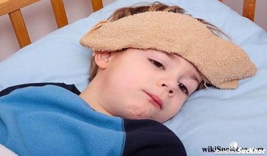 Bệnh sốt virus: Nguyên nhân, dấu hiệu và cách chữa trị Bệnh sốt virus: Nguyên nhân, dấu hiệu và cách chữa trị