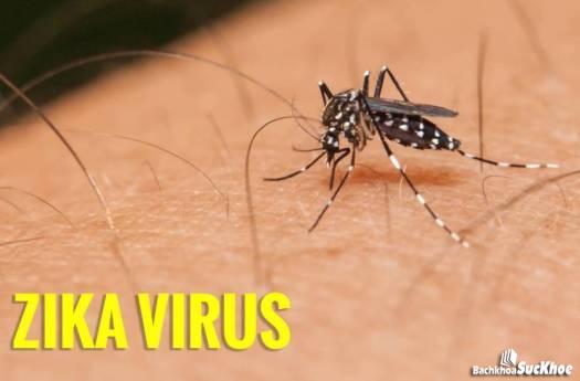 Bệnh virus zika: Khái niệm, nguyên nhân, biểu hiện, điều trị, cách phòng ngừa 27 Muỗi nguyên nhân chính gây truyền nhiễm virus zika