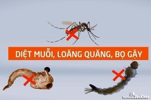 Bệnh sốt xuất huyết: Khái niệm, nguyên nhân, triệu chứng và cách phòng ngừa 27 Nguyên nhân chính gây bệnh sốt xuất huyết là do vi rút Dengue