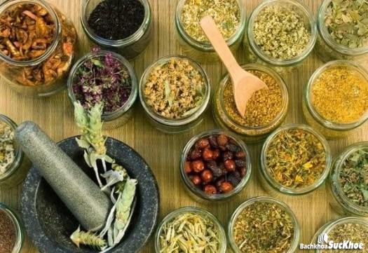 Bệnh u nang tuyến giáp: Khái niệm, nguyên nhân, triệu chứng, phòng ngừa 28 Các vị thuốc đông y giúp điều trị bệnh u nang tuyến giáp