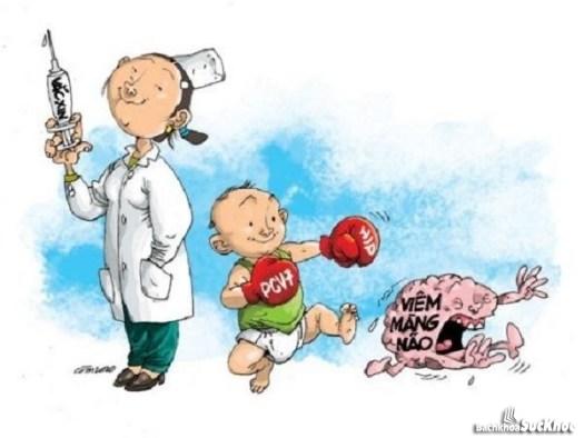 Bài thuốc đông y chữa viêm màng não hiệu quả