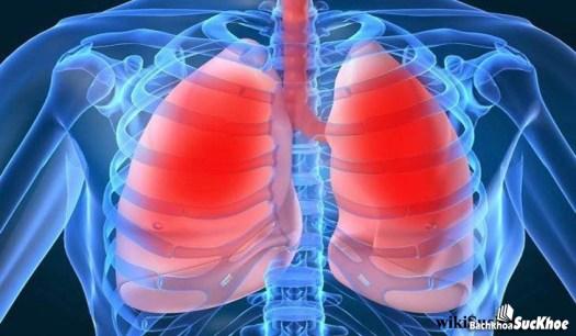 Bệnh lao phổi: Khái niệm, nguyên nhân, biểu hiện, điều trị, cách phòng ngừa 26 Bệnh lao phổi có nguy hiểm không?