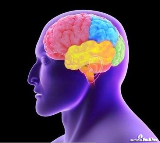 Bệnh Pick: Khái niệm, nguyên nhân, triệu chứng và cách phòng ngừa 26 Bệnh sa sút trị tuệ thùy trán- thái dương làm giảm chất lượng cuộc sống