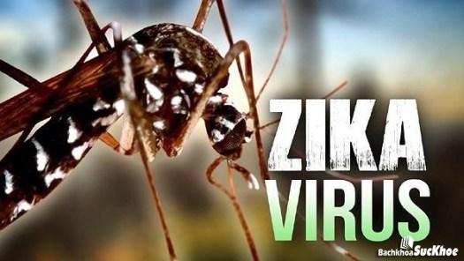 Bệnh virus zika: Khái niệm, nguyên nhân, biểu hiện, điều trị, cách phòng ngừa 26 Bệnh virus zika là bệnh như thế nào?