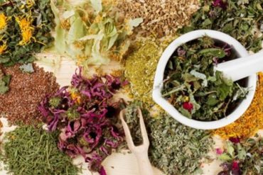 Tinh hoa thuốc nam – Những bài thuốc hay, cây thuốc nam quý