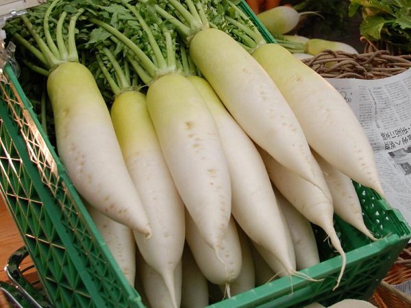 Meo-chua-nhiet-mieng-tai-nha-khong-can-dung-thuoc Meo-chua-nhiet-mieng-tai-nha-khong-can-dung-thuoc
