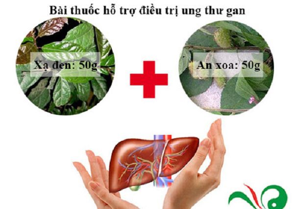 cay-thuoc-dieu-tri-ung-thu-gan cay-thuoc-dieu-tri-ung-thu-gan