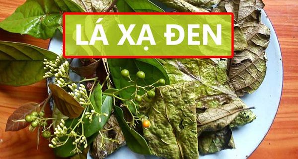 cay-thuoc-dieu-tri-ung-thu-gan cay-thuoc-dieu-tri-ung-thu-gan
