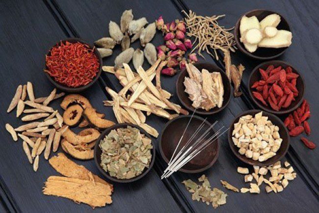 Nhiều vị thuốc Nam được sử dụng để hỗ trợ điều trị u xơ tử cung Nhiều vị thuốc Nam được sử dụng để hỗ trợ điều trị u xơ tử cung