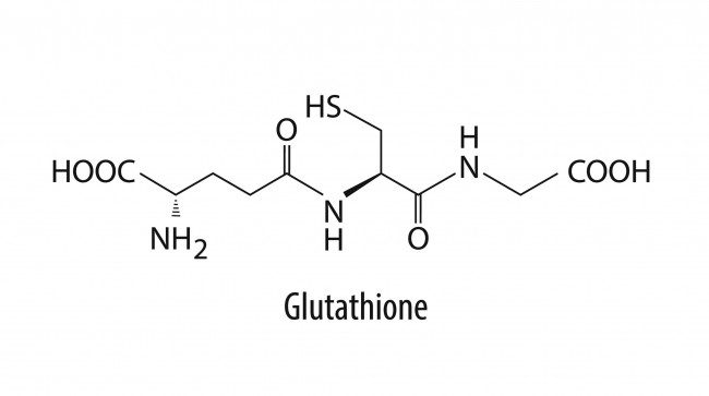Glutathione được gọi là chất chống oxy hóa tổng thể Glutathione được gọi là chất chống oxy hóa tổng thể