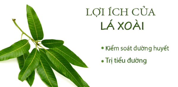 La-xoai-tri-tieu-duong