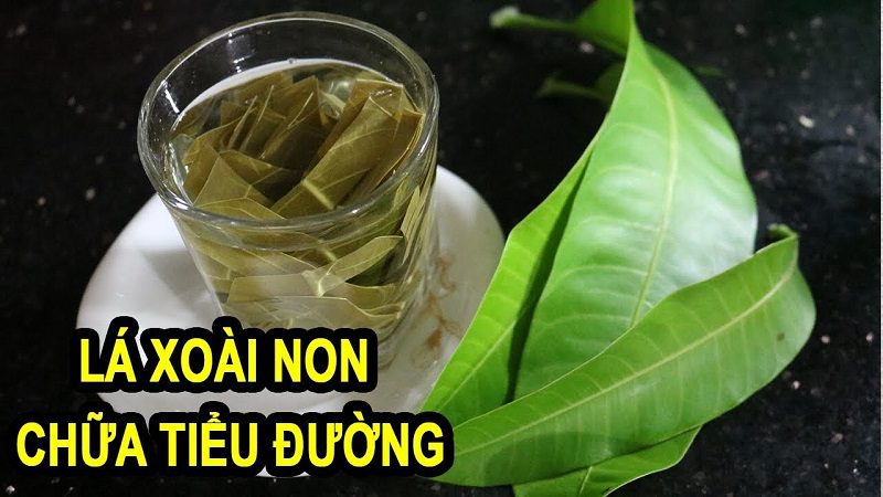 La-xoai-tri-tieu-duong