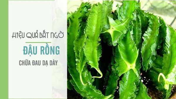 Tac-dung-cua-Dau-Rong Tac-dung-cua-Dau-Rong