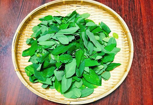 Thường ăn rau ngót mà không biết những tác dụng chữa bệnh này thì quả là thiếu sót
