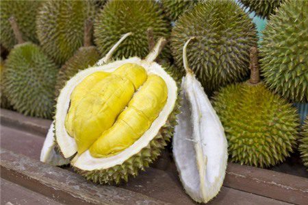 Mách chị em cách chọn sầu riêng chín già, thơm ngon không thuốc Mách chị em cách chọn sầu riêng chín già, thơm ngon không thuốc