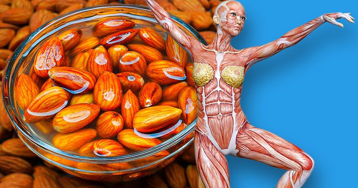 Hạnh nhân: Siêu thực phẩm cho phụ nữ mang thai và bệnh nhân tiểu đường 