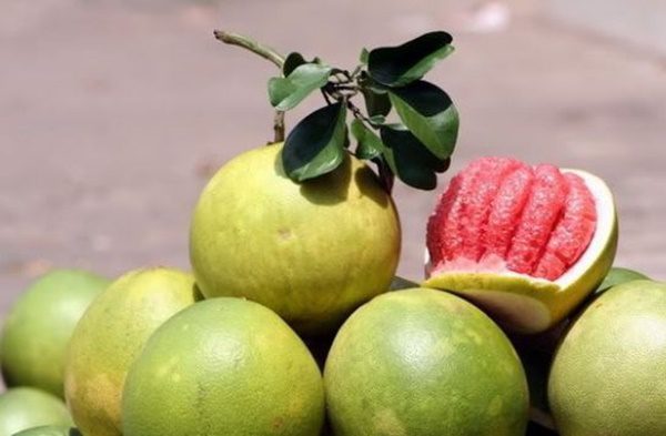 Tác dụng chữa bệnh của quả bưởi: Không chỉ giảm cân mà còn ngăn ngừa ung thư Tác dụng chữa bệnh của quả bưởi: Không chỉ giảm cân mà còn ngăn ngừa ung thư